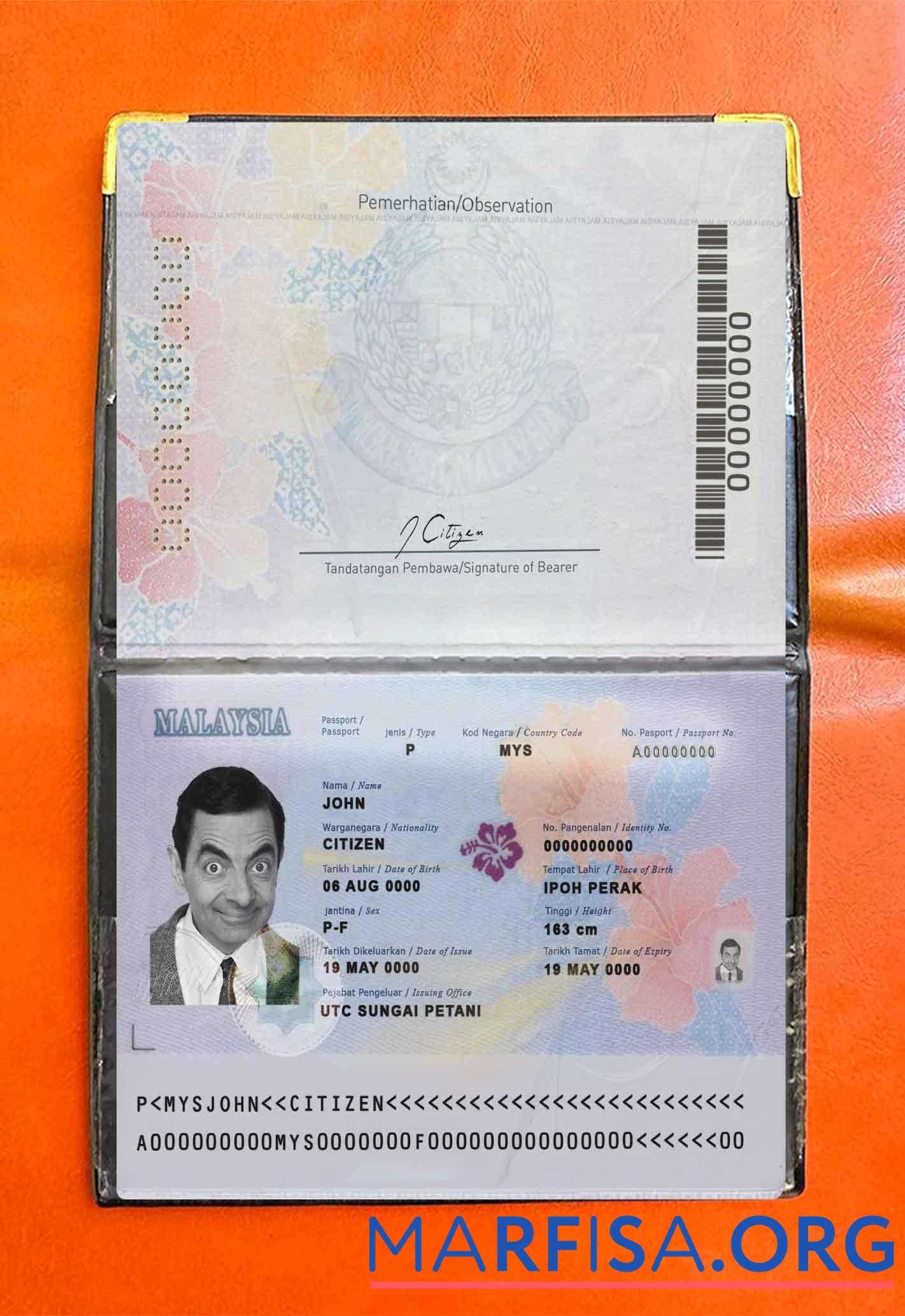 Printable Malaysia passport (2017 present) photo look example